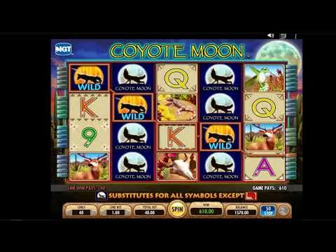 ranura alice in wonderland